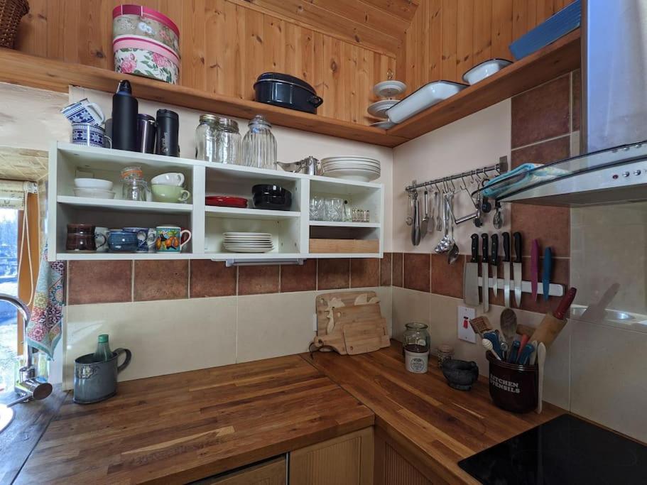 Secluded Private Cottage Hot-Tub, Sauna & Fire-Pit Carrick on Shannon Exteriör bild