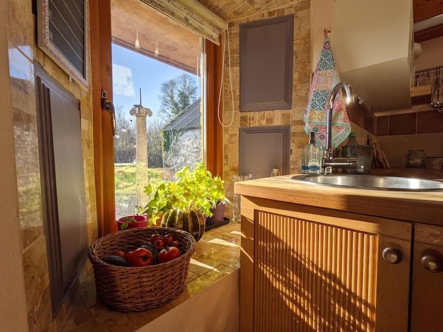 Secluded Private Cottage Hot-Tub, Sauna & Fire-Pit Carrick on Shannon Exteriör bild