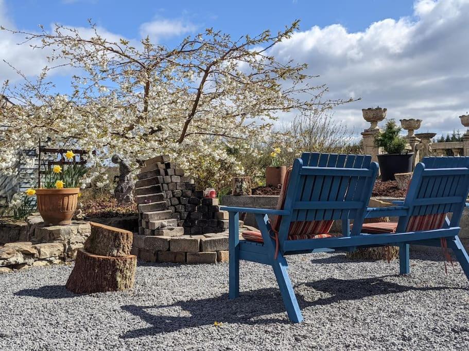 Secluded Private Cottage Hot-Tub, Sauna & Fire-Pit Carrick on Shannon Exteriör bild