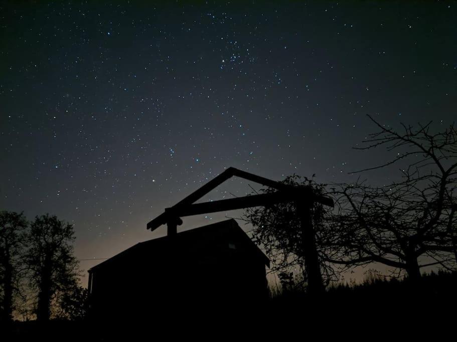 Secluded Private Cottage Hot-Tub, Sauna & Fire-Pit Carrick on Shannon Exteriör bild