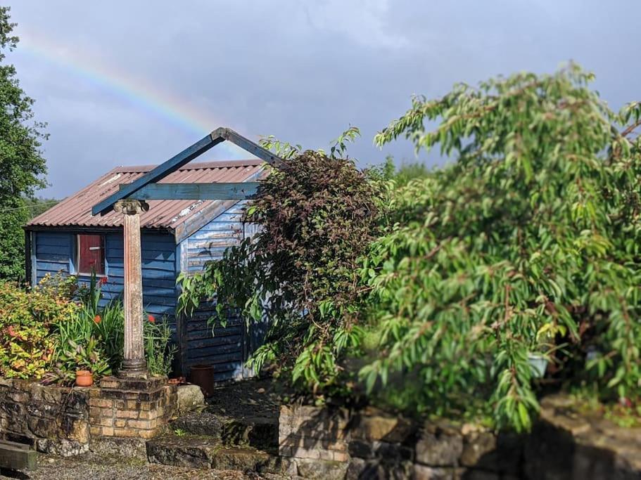Secluded Private Cottage Hot-Tub, Sauna & Fire-Pit Carrick on Shannon Exteriör bild